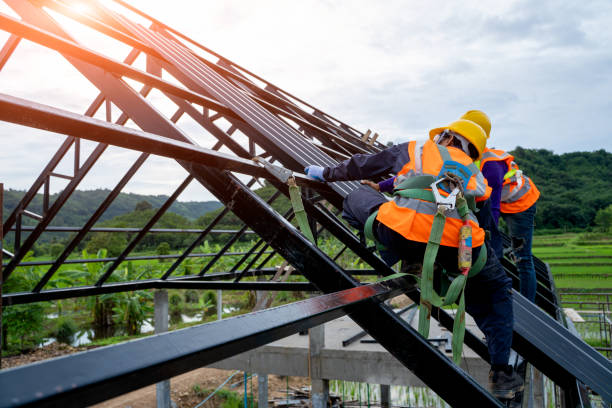 Best Roof Repair Services  in Wyong, MI