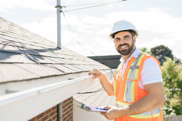 Best Roof Gutter Cleaning  in Wyong, MI