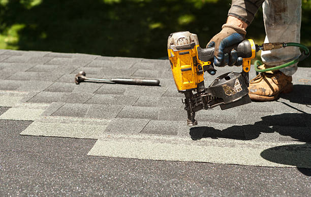 Best Roof Gutter Cleaning  in Wyong, MI