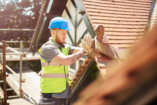 Best Metal Roofing Contractor  in Wyong, MI