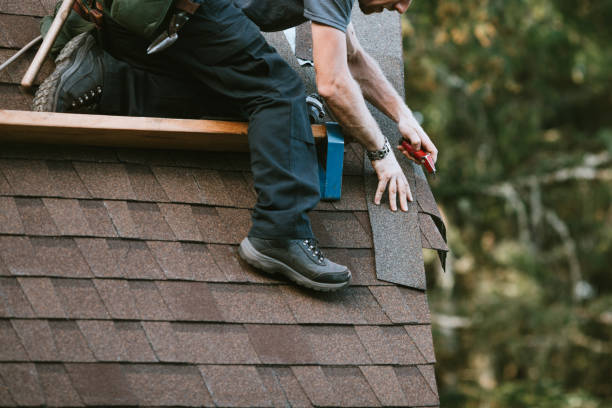 Roof Gutter Cleaning in Wyoming, MI